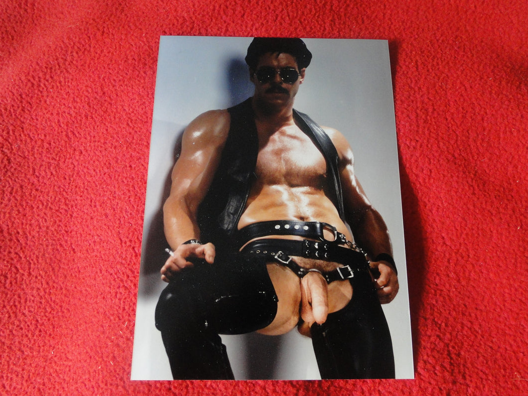 Vintage 18 Y.O + Gay Interest Colt/Fox Studios Nude Hot Hung Male Photo        D20r