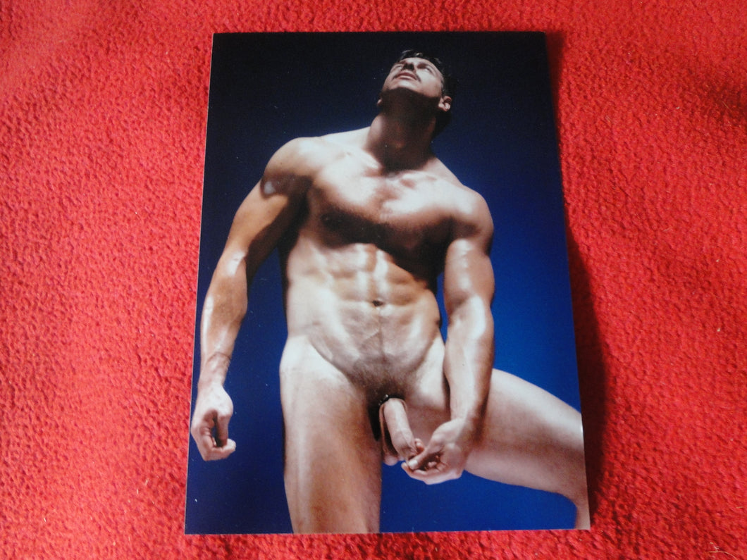 Vintage 18 Y.O + Gay Interest Colt/Fox Studios Nude Hot Hung Male Photo        D20w