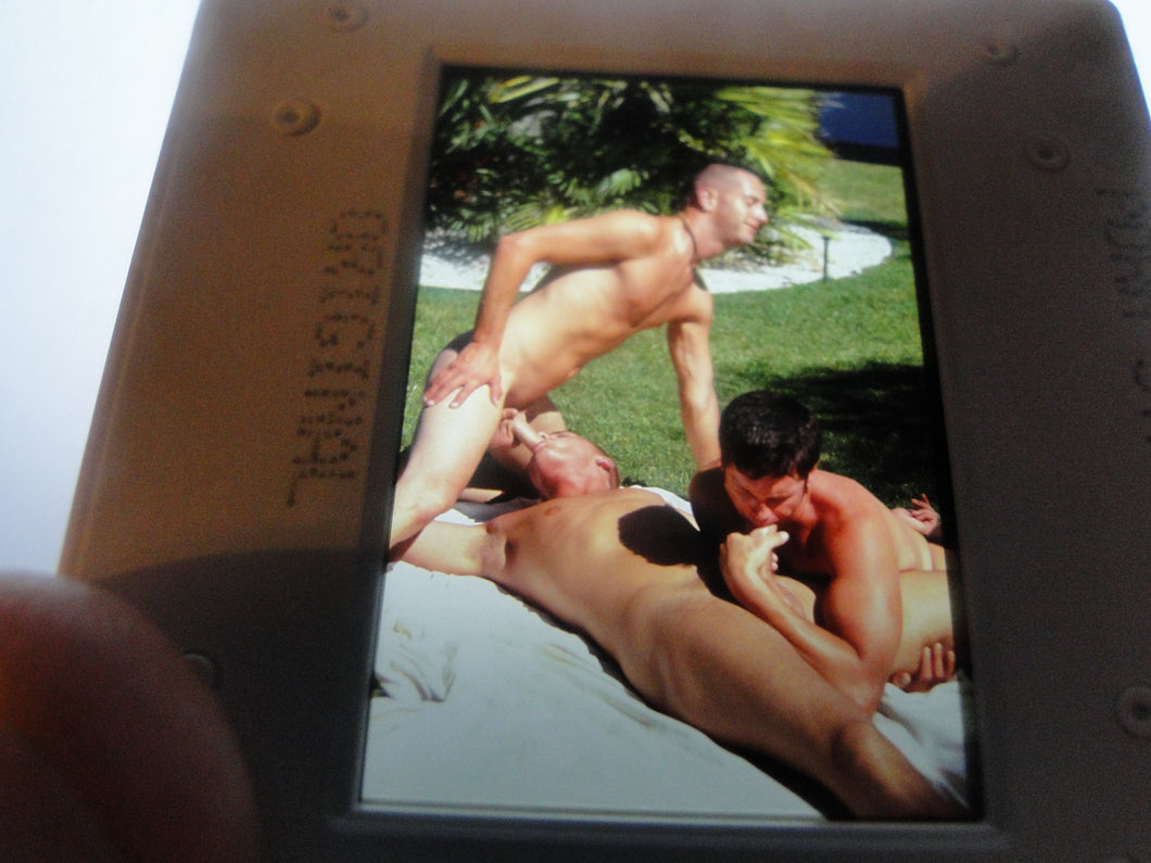 VINTAGE 35MM GAY MALE SLIDE BEEFCAKE MUSCLE NUDE FALCON STUDIOS B86e