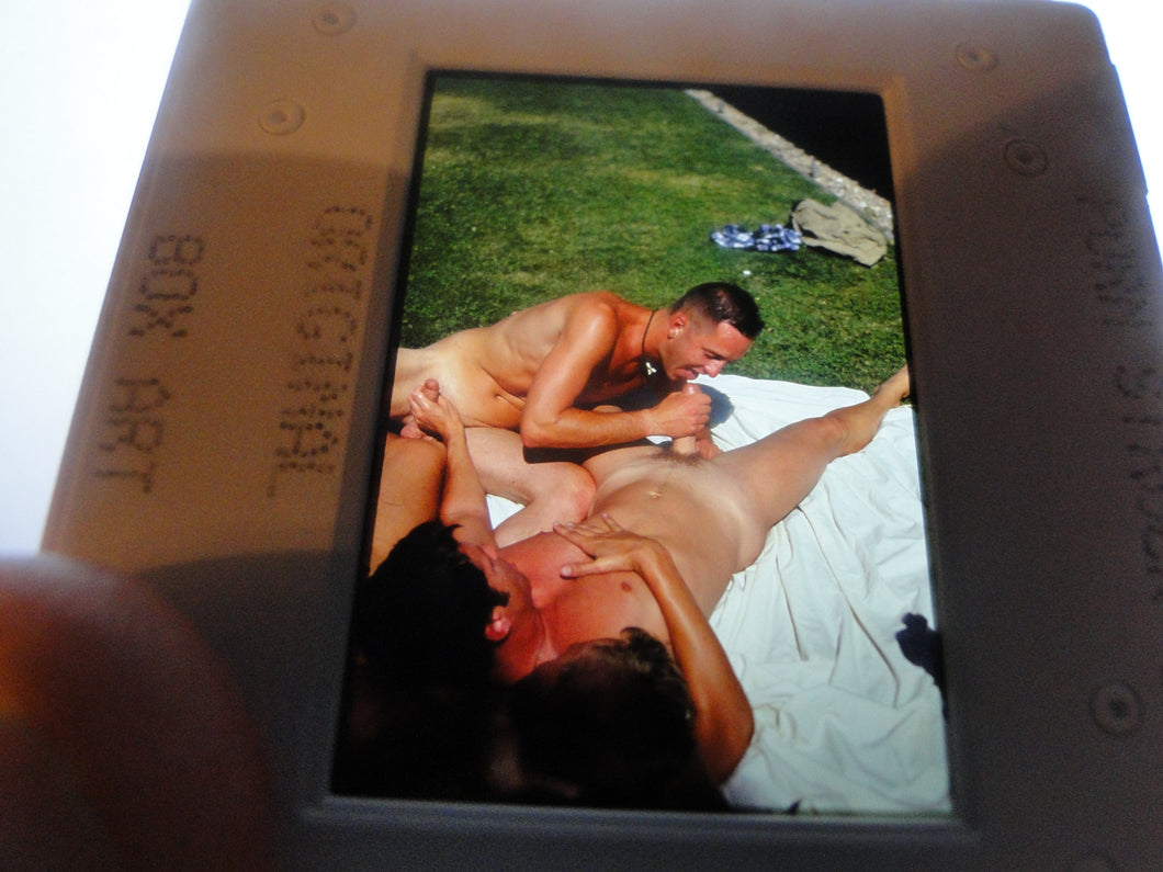 VINTAGE 35MM GAY MALE SLIDE BEEFCAKE MUSCLE NUDE FALCON STUDIOS B86g