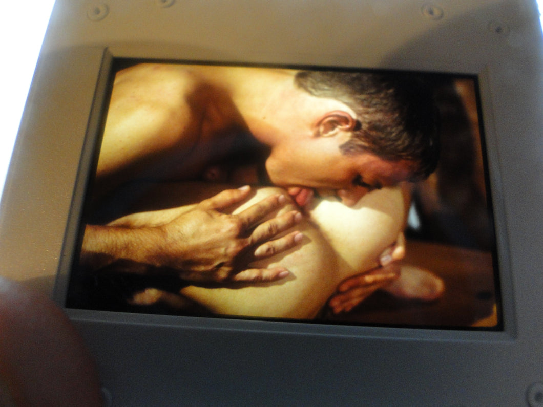 VINTAGE 35MM GAY MALE SLIDE BEEFCAKE MUSCLE NUDE FALCON STUDIOS EVb