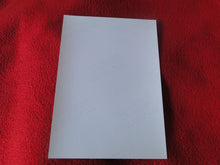 Load image into Gallery viewer, Vintage 18 Year Old + Gay Interest Colt Nude Hot Male Photo D41a20
