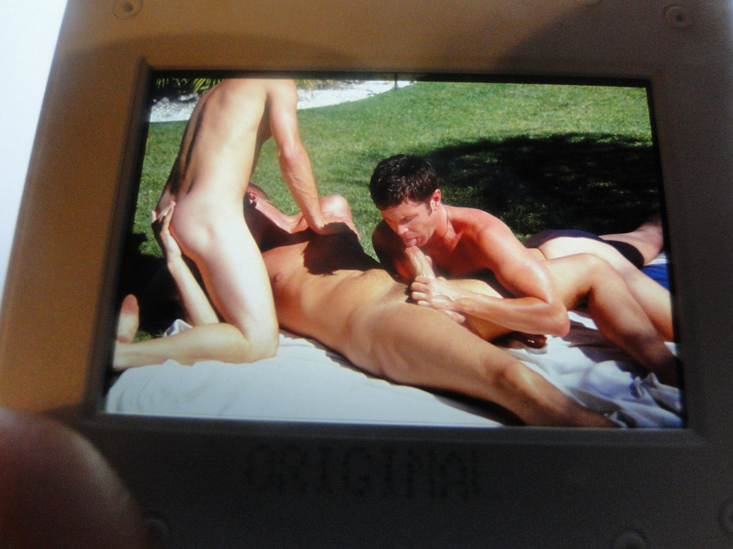 VINTAGE 35MM GAY MALE SLIDE BEEFCAKE MUSCLE NUDE FALCON STUDIOS EBm