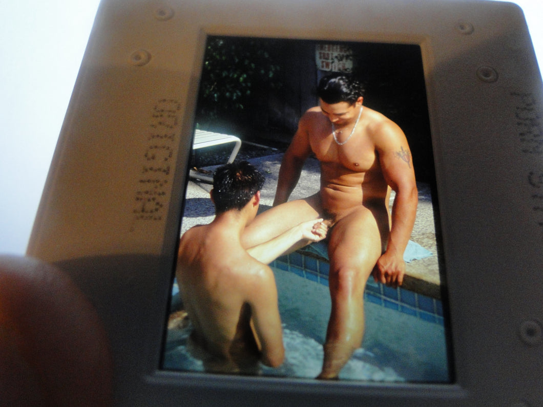VINTAGE 35MM GAY MALE SLIDE BEEFCAKE MUSCLE NUDE FALCON STUDIOS EBj