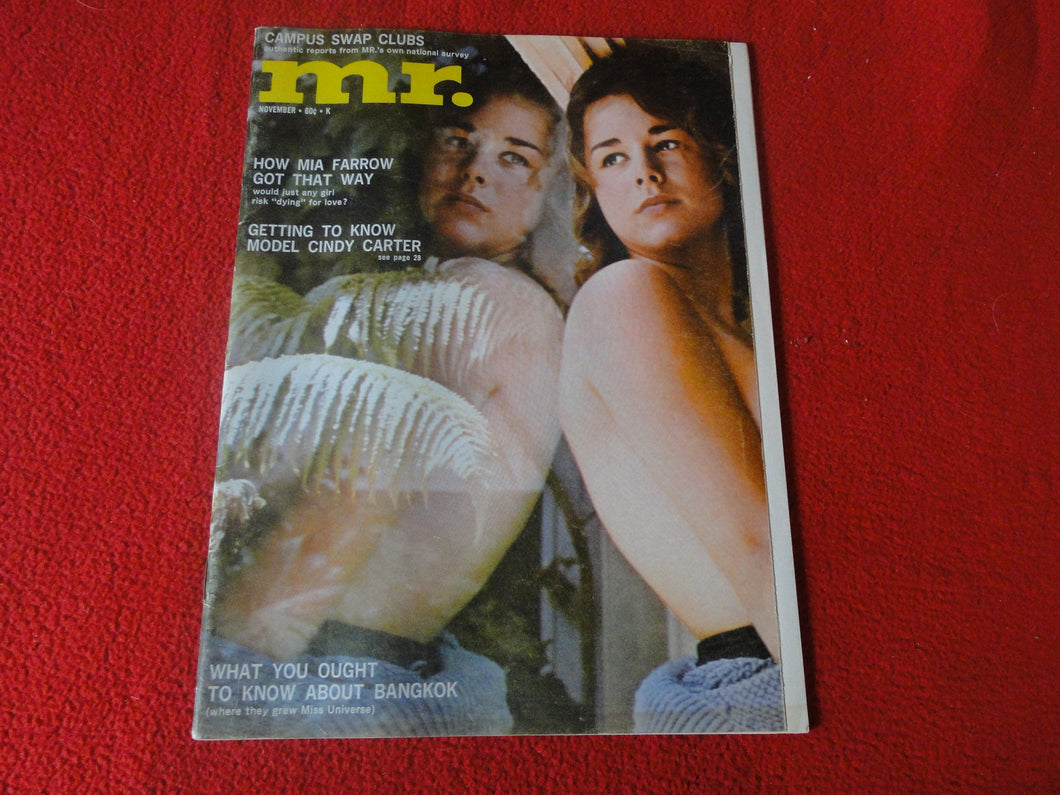Vintage Nude Erotic Sexy Adult Magazine Adult Magazine Mr. Nov. 1965     P6