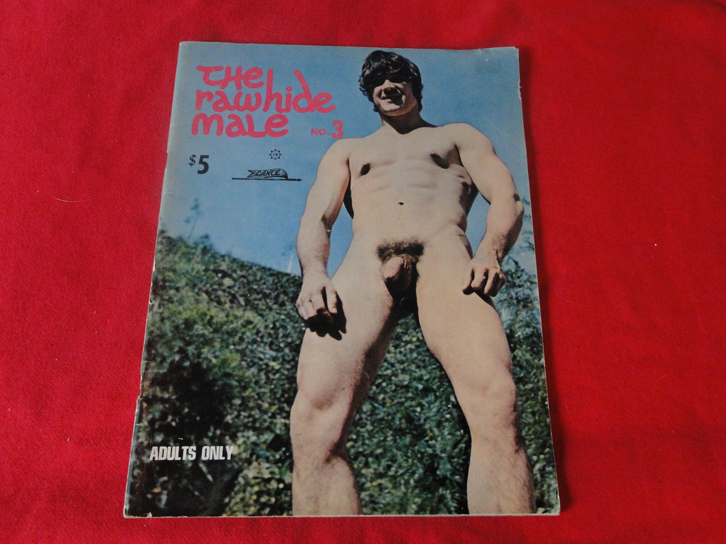 Vintage 18 Y.O. +  Adult Erotic Sexy Magazine Gay Interest Rawhide Male Lance Etienne G10