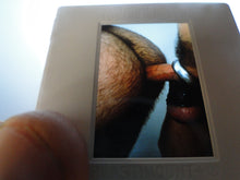 Load image into Gallery viewer, VINTAGE 35MM GAY MALE SLIDE BEEFCAKE MUSCLE NUDE FALCON STUDIOS A8d
