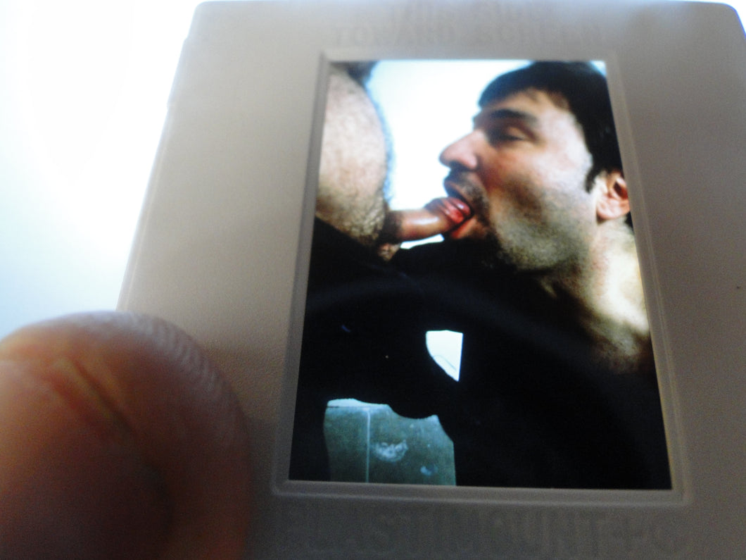 VINTAGE 35MM GAY MALE SLIDE BEEFCAKE MUSCLE NUDE FALCON STUDIOS A8f