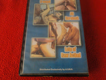 Load image into Gallery viewer, Vintage Adult Erotic XXX Gay VHS Porn Movie Gas Lamp Threeway Bareback  25
