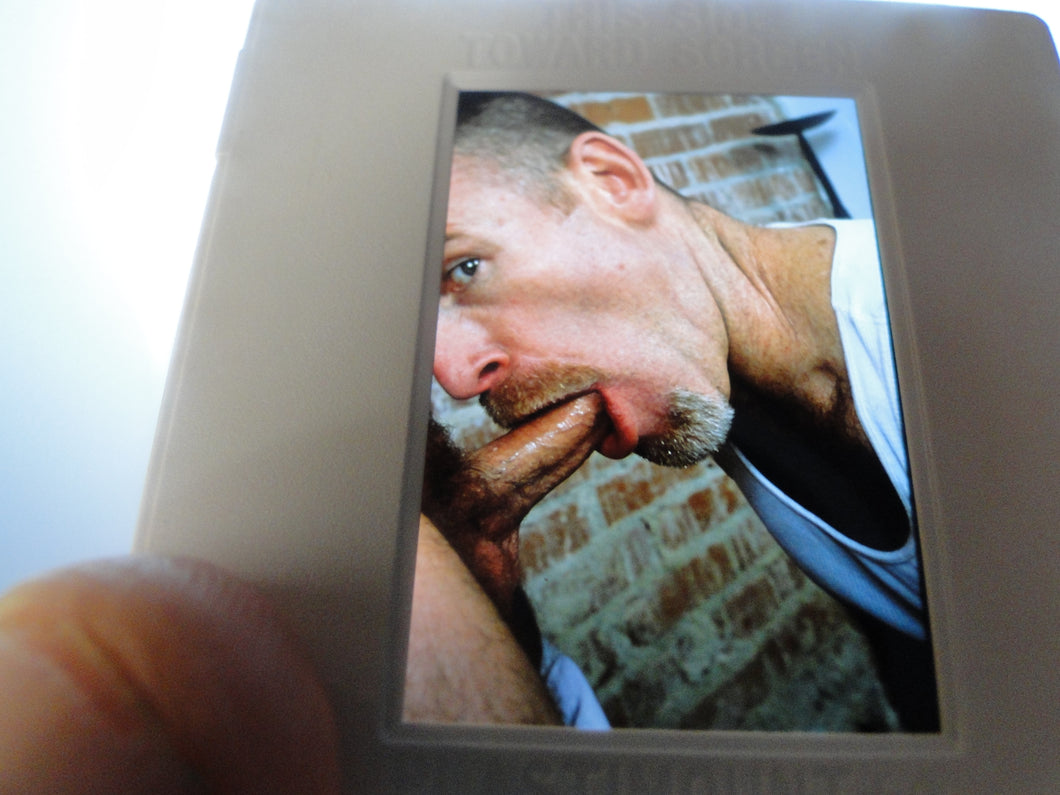 VINTAGE 35MM GAY MALE SLIDE BEEFCAKE MUSCLE NUDE FALCON STUDIOS A8p