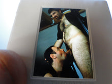 Load image into Gallery viewer, VINTAGE 35MM GAY MALE SLIDE BEEFCAKE MUSCLE NUDE FALCON STUDIOS A8v
