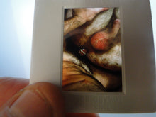 Load image into Gallery viewer, VINTAGE 35MM GAY MALE SLIDE BEEFCAKE MUSCLE NUDE FALCON STUDIOS A8w
