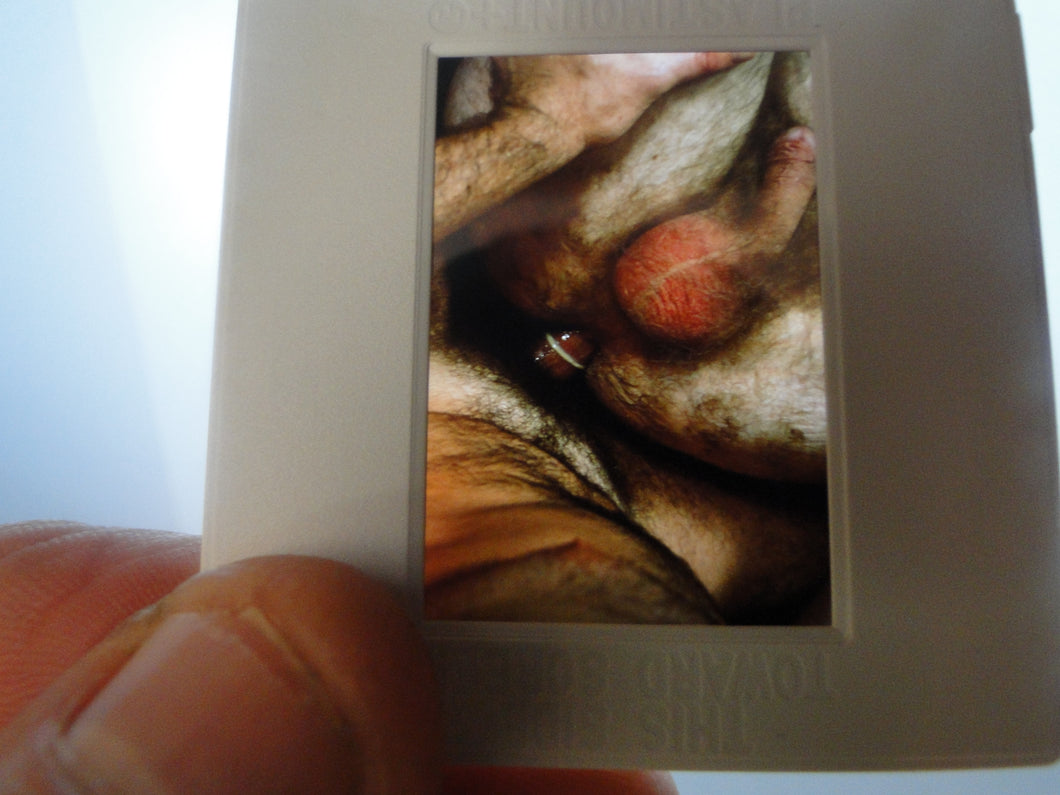 VINTAGE 35MM GAY MALE SLIDE BEEFCAKE MUSCLE NUDE FALCON STUDIOS A8w