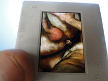 Load image into Gallery viewer, VINTAGE 35MM GAY MALE SLIDE BEEFCAKE MUSCLE NUDE FALCON STUDIOS A8w
