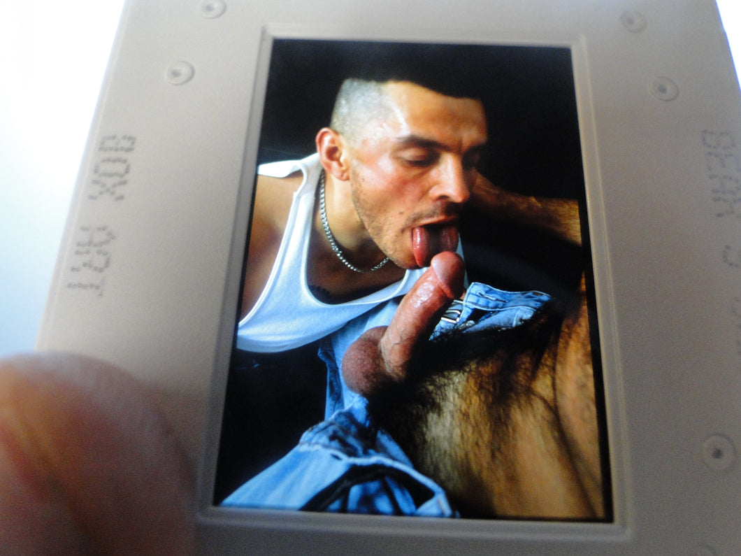 VINTAGE 35MM GAY MALE SLIDE BEEFCAKE MUSCLE NUDE FALCON STUDIOS B2c