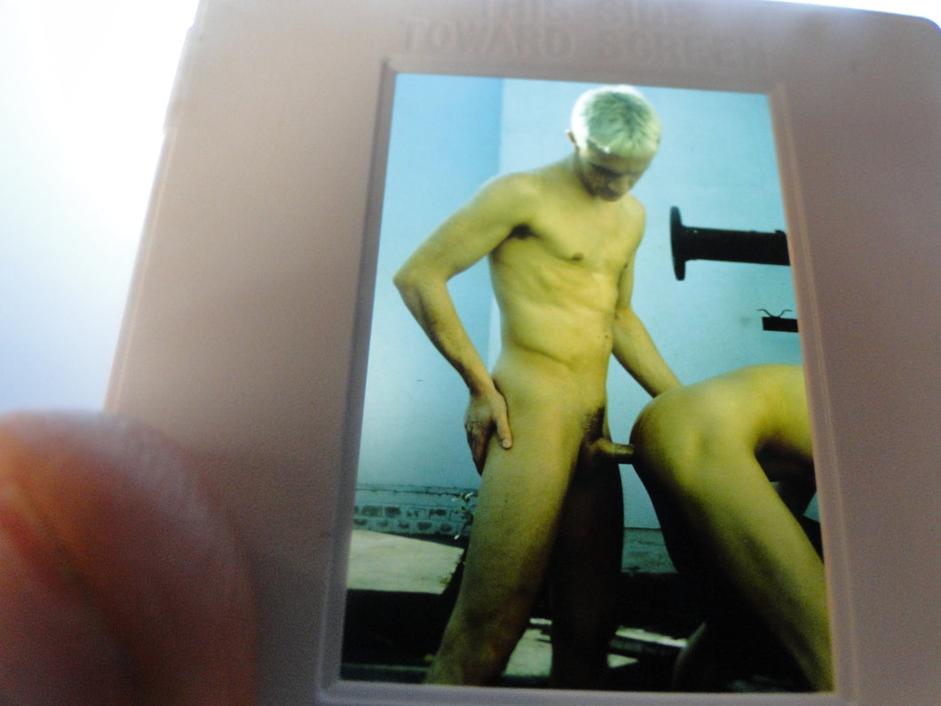 VINTAGE 35MM GAY MALE SLIDE BEEFCAKE MUSCLE NUDE FALCON STUDIOS B2m