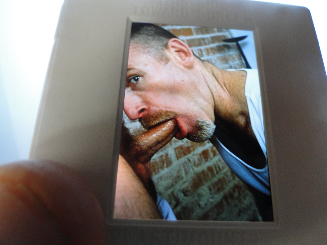 VINTAGE 35MM GAY MALE SLIDE BEEFCAKE MUSCLE NUDE FALCON STUDIOS B2r