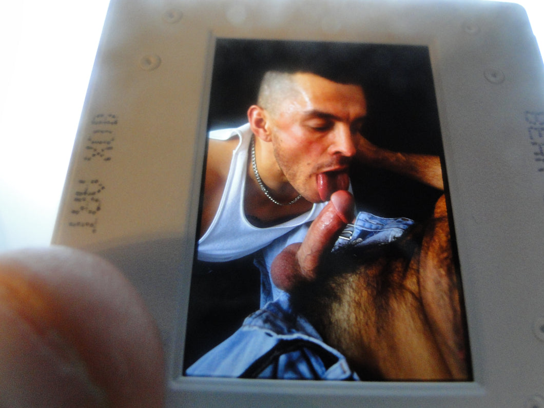 VINTAGE 35MM GAY MALE SLIDE BEEFCAKE MUSCLE NUDE FALCON STUDIOS B38r