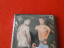 Load image into Gallery viewer, Vintage 18 Y.O. + Adult Erotic Gay Porn DVD Brawlers Brent Soow Gabe Russel AA
