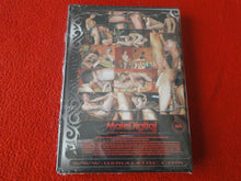 Load image into Gallery viewer, Vintage 18 Y.O. + Adult Erotic Gay Porn DVD Brawlers Brent Soow Gabe Russel AA
