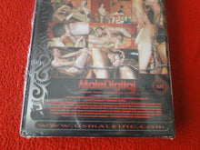 Load image into Gallery viewer, Vintage 18 Y.O. + Adult Erotic Gay Porn DVD Brawlers Brent Soow Gabe Russel AA
