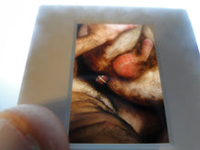 Load image into Gallery viewer, VINTAGE 35MM GAY MALE SLIDE BEEFCAKE MUSCLE NUDE FALCON STUDIOS A78j
