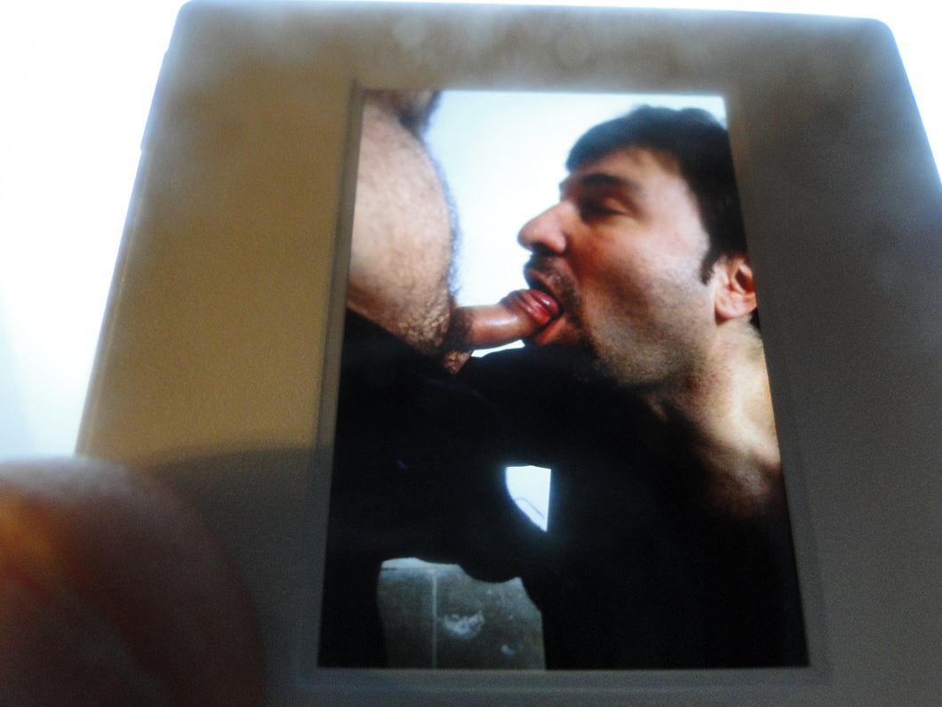 VINTAGE 35MM GAY MALE SLIDE BEEFCAKE MUSCLE NUDE FALCON STUDIOS A75d