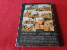 Load image into Gallery viewer, Vintage Adult Gay Porn DVD XXX Movie SEALED Breeding Devil 2      P83
