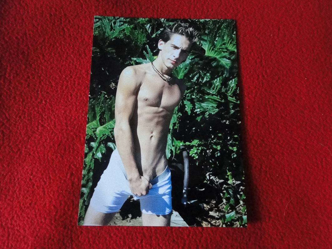 Vintage 18 Y.O. + Gay Interest Chippendale Muscle Nude Hung Male Photo  D11d