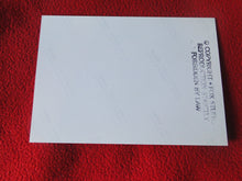 Load image into Gallery viewer, Vintage 18 Y.O. + Gay Interest Chippendale Colt Muscle Nude Hung Male Photo  D11k
