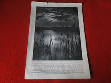 Load image into Gallery viewer, Vintage Nude Erotic Sexy Adult Magazine German Nudist 1950 Freies Leben    P81
