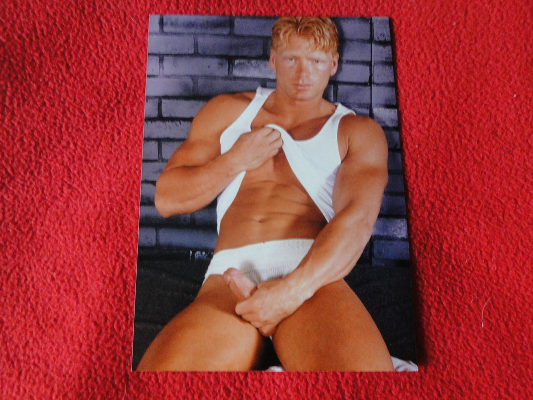 Vintage 18 Y.O. + Gay Interest Chippendale Colt Muscle Nude Hung Male Photo  D11n