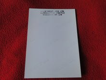 Load image into Gallery viewer, Vintage 18 Y.O. + Gay Interest Chippendale Colt Muscle Nude Hung Male Photo  D11o
