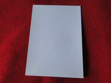 Load image into Gallery viewer, Vintage 18 Y.O. + Gay Interest Chippendale Colt Muscle Nude Hung Male Photo  D11y
