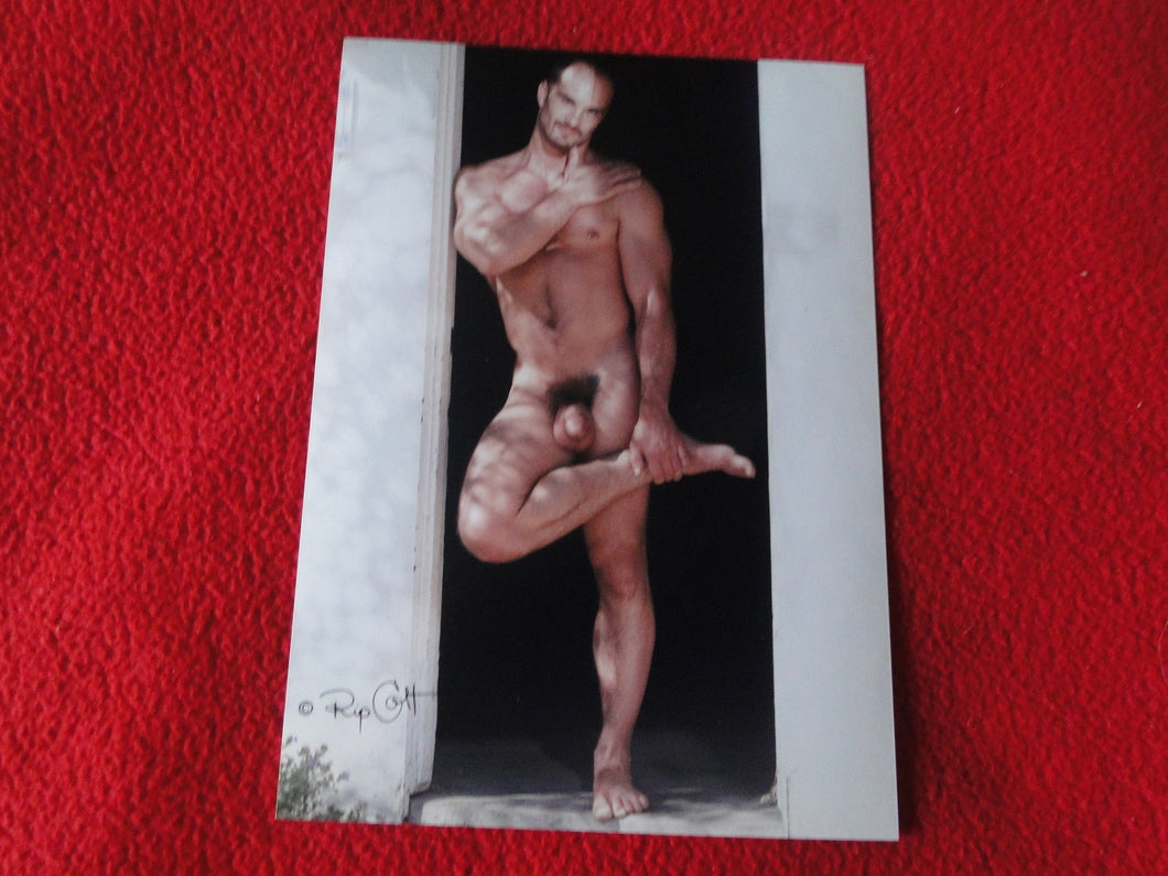 Vintage 18 Y.O. + Gay Interest Chippendale Colt Muscle Nude Hung Male Photo  D11z