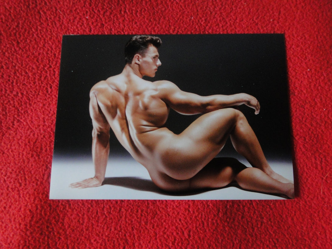Vintage 18 Y.O. + Gay Interest Chippendale Colt Muscle Nude Hung Male Photo  D11a6