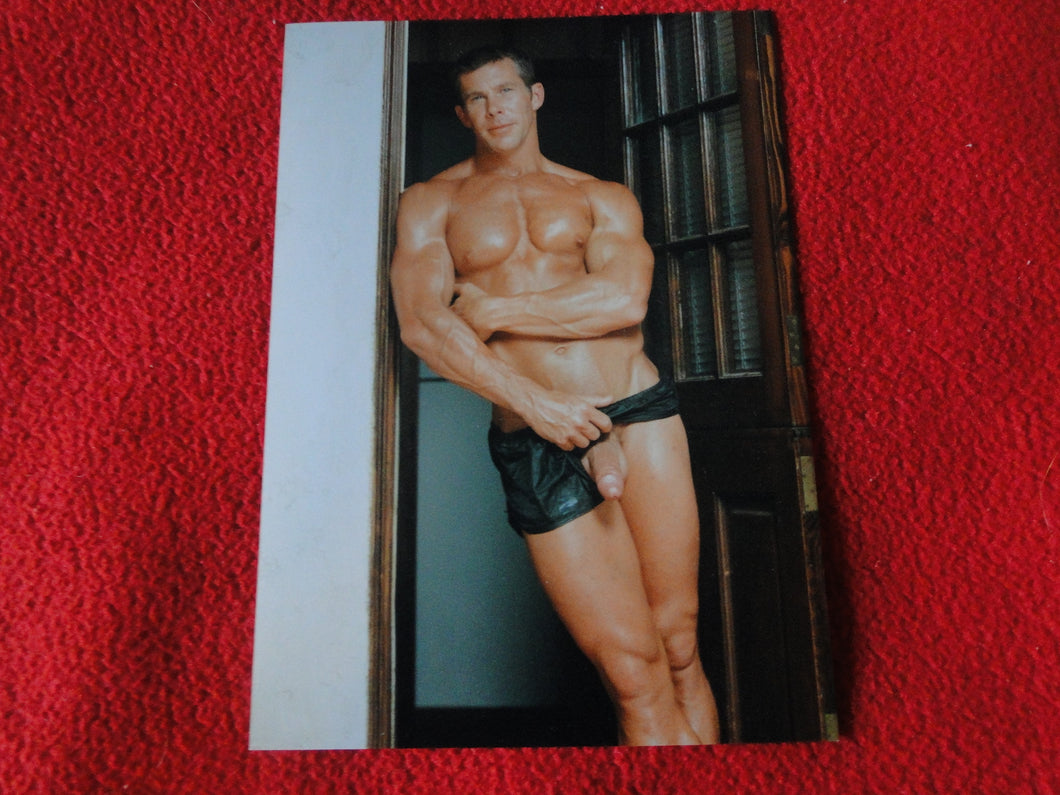 Vintage 18 Y.O. + Gay Interest Chippendale Colt Muscle Nude Hung Male Photo  D11a9