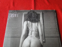 Load image into Gallery viewer, Vintage Nude Pinup SEALED Wall Calendar Derrieres Trevor Watson 2003          C
