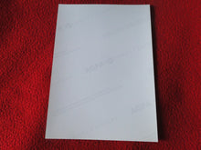 Load image into Gallery viewer, Vintage 18 Y.O. + Gay Interest Chippendale Colt Muscle Nude Hung Male Photo  D11a14
