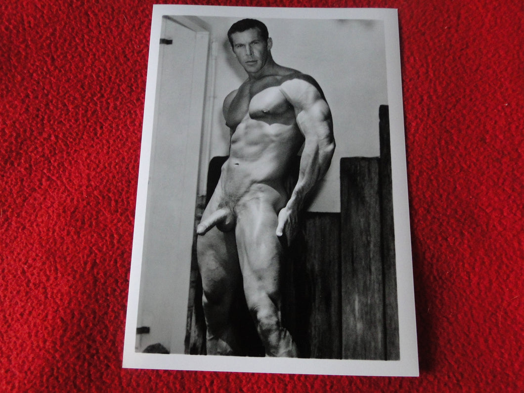 Vintage 18 Y.O. + Gay Interest Chippendale Colt Muscle Nude Hung Male Photo  D11a17