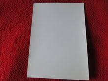 Load image into Gallery viewer, Vintage 18 Y.O. + Gay Interest Chippendale Colt Muscle Nude Hung Male Photo  D11a17
