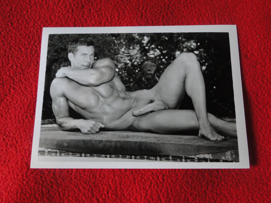 Vintage 18 Y.O. + Gay Interest Chippendale Colt Muscle Nude Hung Male Photo  D11a19