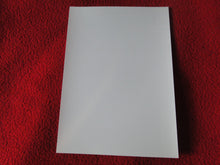 Load image into Gallery viewer, Vintage 18 Y.O. + Gay Interest Chippendale Colt Muscle Nude Hung Male Photo  D11a20
