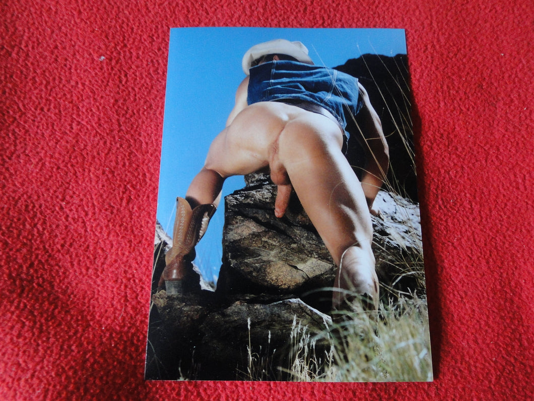 Vintage 18 Y.O. + Gay Interest Chippendale Colt Muscle Nude Hung Male Photo  D9g