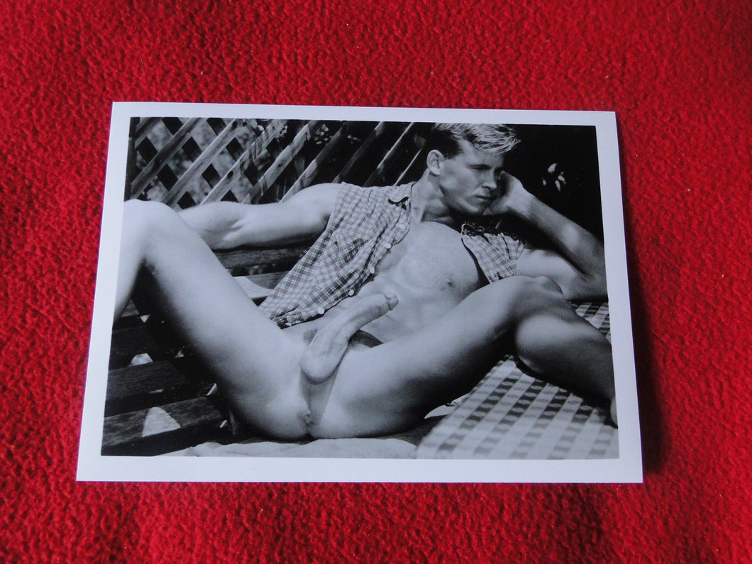 Vintage 18 Y.O. + Gay Interest Chippendale Colt Muscle Nude Hung Male Photo  D9h