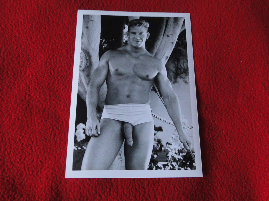 Vintage 18 Y.O. + Gay Interest Chippendale Colt Muscle Nude Hung Male Photo  D9m