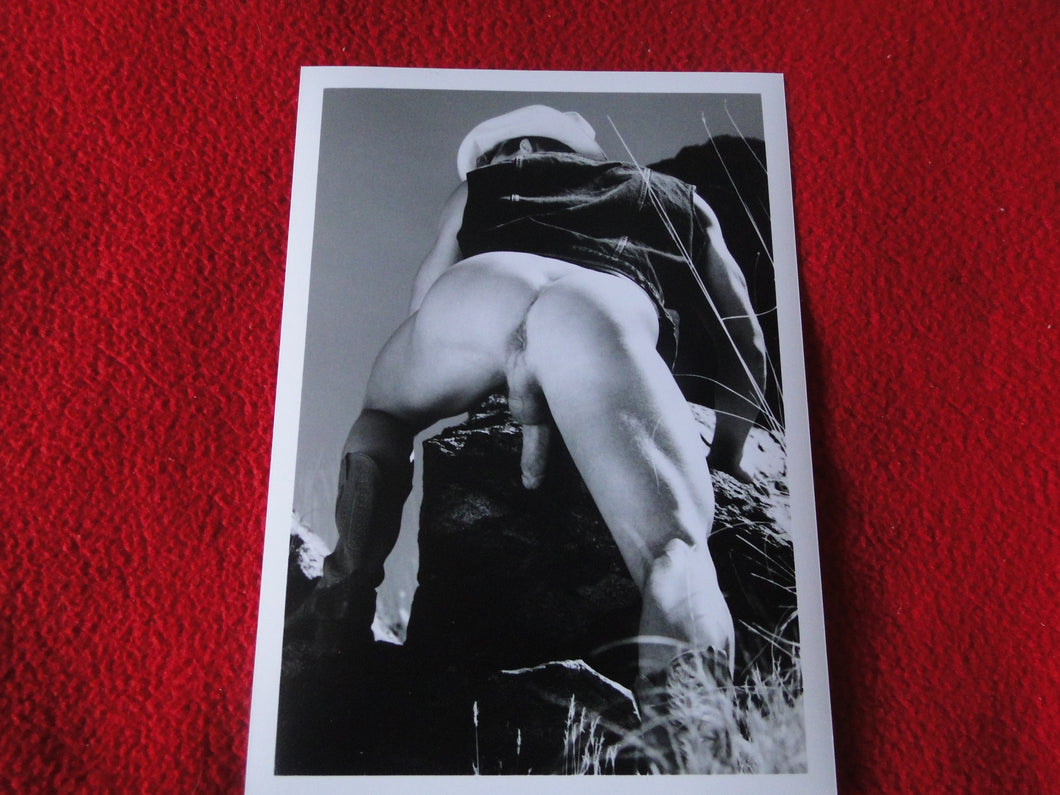 Vintage 18 Y.O. + Gay Interest Chippendale Colt Muscle Nude Hung Male Photo  D9p
