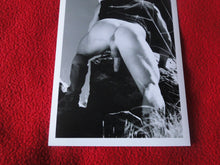 Load image into Gallery viewer, Vintage 18 Y.O. + Gay Interest Chippendale Colt Muscle Nude Hung Male Photo  D9p

