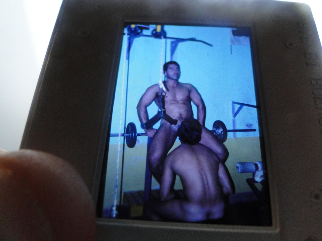 VINTAGE 35MM GAY MALE SLIDE BEEFCAKE MUSCLE NUDE FALCON STUDIOS FPz